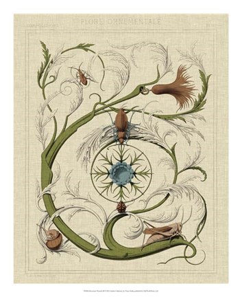 Framed Decorative Flourish III Print