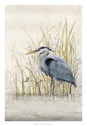 Framed Heron Sanctuary II Print