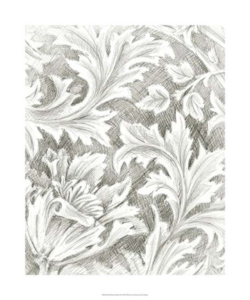 Framed Floral Pattern Sketch II Print