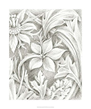 Framed Floral Pattern Sketch III Print