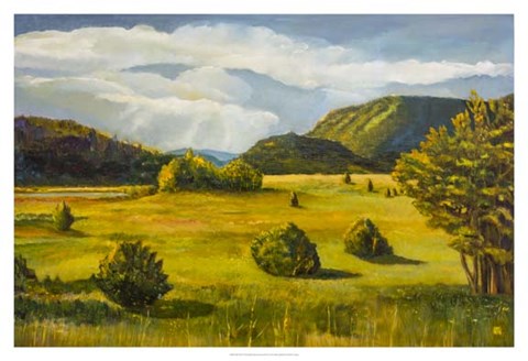 Framed Falls Creek Print