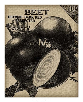 Framed Vintage Seed Pack III Print