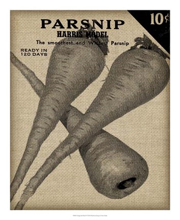 Framed Vintage Seed Pack IV Print