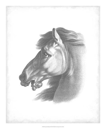 Framed Equestrian Blueprint III Print