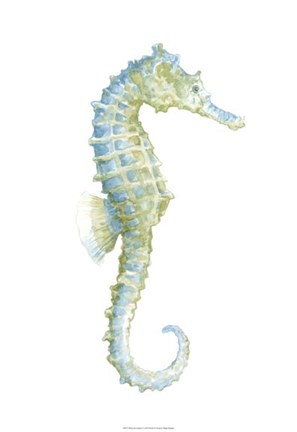 Framed Watercolor Seahorse I Print