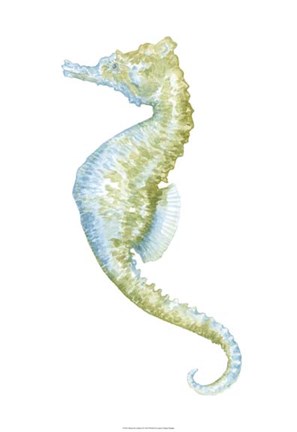 Framed Watercolor Seahorse II Print