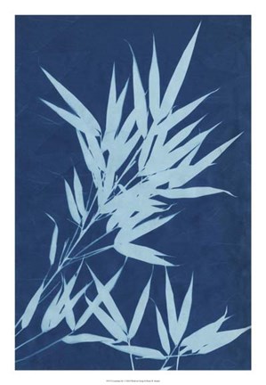 Framed Cyanotype No.1 Print
