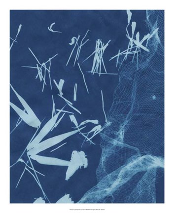 Framed Cyanotype No.6 Print