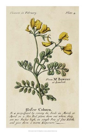 Framed Gardener's Guide I Print