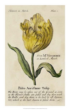 Framed Gardener's Guide II Print