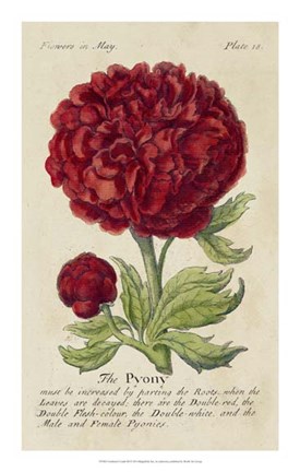 Framed Gardener's Guide III Print