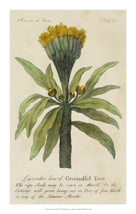 Framed Gardener's Guide IV Print