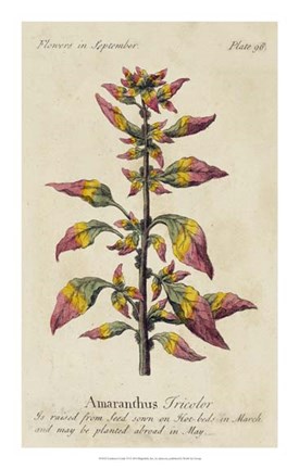 Framed Gardener's Guide VI Print