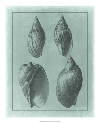 Framed Spa Shell Collection III Print