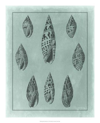 Framed Spa Shell Collection IV Print