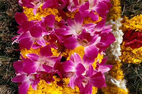 Framed Asia, Singapore. Flowers for sale Print