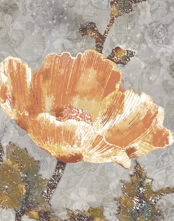 Framed Spice Poppy I Print