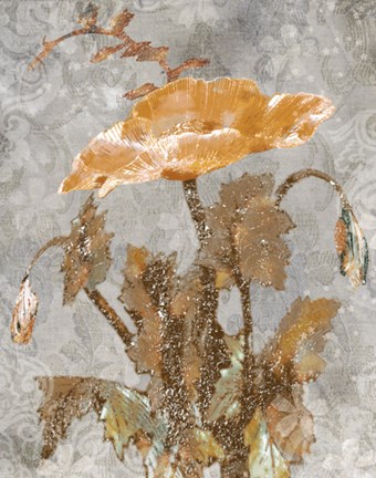 Framed Spice Poppy II Print