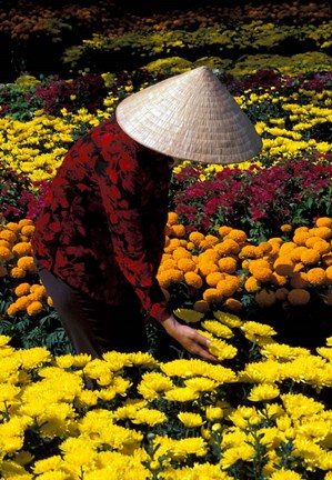 Framed Gardens with Woman in Straw Hat, Mekong Delta, Vietnam Print