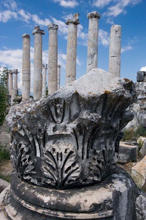 Framed Columns and Relief Sculpture, Aphrodisias, Turkey Print