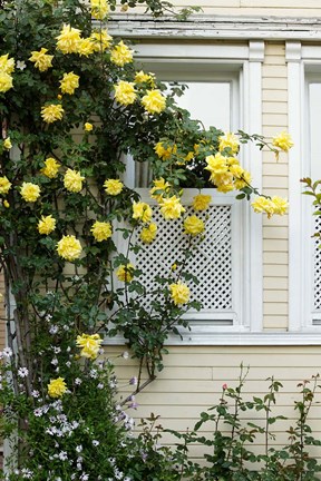Framed Istanbul, Turkey Print