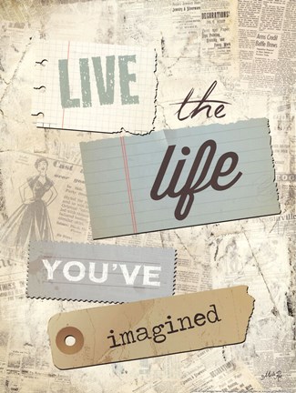 Framed Live the Life You&#39;ve Imagined Print