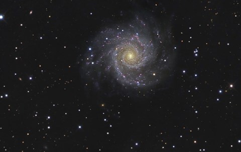 Framed Messier 74, A Spiral Galaxy in the Constellation Pisces Print