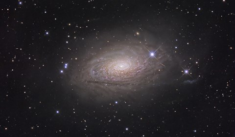 Framed Sunflower Galaxy Print