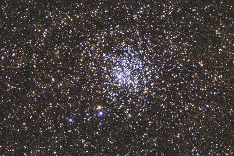 Framed Wild Duck Cluster Print