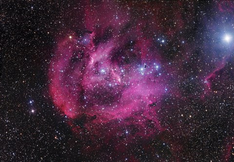 Framed Running Chicken Nebula Print