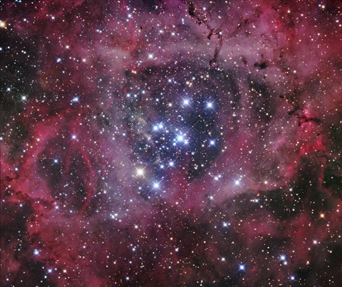 Framed Open Cluster within the Rosette Nebula (NGC 2244) Print