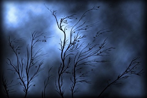 Framed Stormy Skies Print