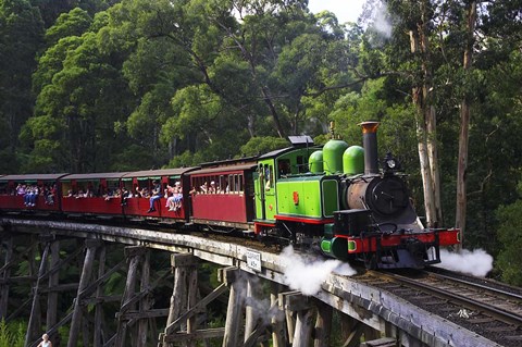 Framed Puffing Billy Steam Train, Dandenong Ranges, near Melbourne, Victoria, Australia Print