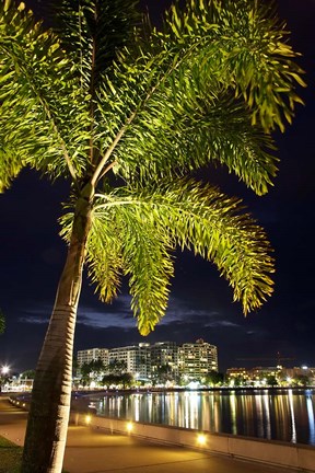 Framed Cairns, waterfront at night, North Queensland, Australia Print