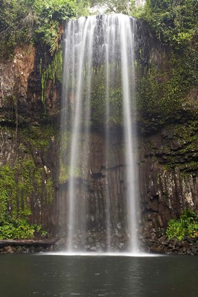 Framed Millaa Millaa Falls, Queensland, Australia Print