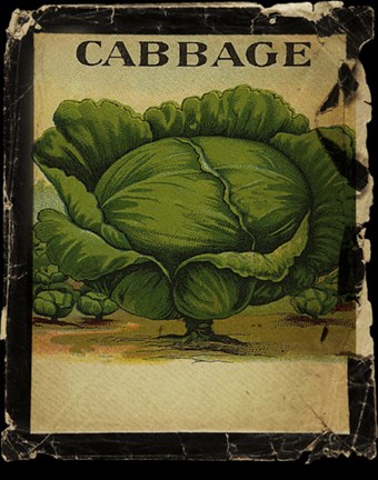 Framed Vintage Cabbage Print