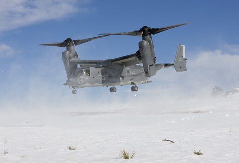 Framed CV-22 Osprey Takes Off Print