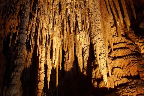 Framed Stalactites, Newdegate Cave, Hastings Caves, Australia Print