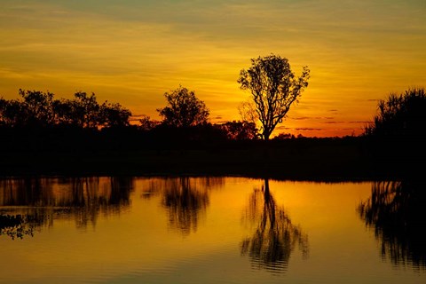 Framed Water Billabong, Kakadu NP, Northern Territory, Australia Print