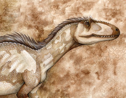 Framed Allosaurus Print