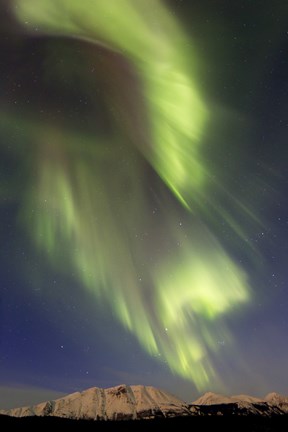 Framed Aurora Borealis over Emerald Lake, Canada Print