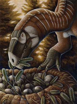 Framed Plateosaurus Dinosaur Nest Print