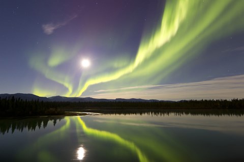 Framed Aurora Borealis and Full Moon over the Yukon River, Canada Print