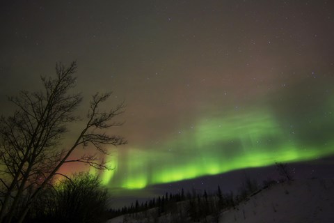 Framed Aurora Borealis, Twin Lakes, Yukon, Canada Print