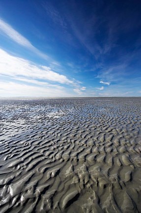 Framed Beach, Doctors Point, South Island, New Zealand (vertical) Print