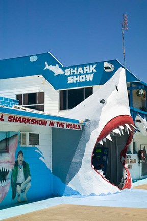 Framed Australia, Queensland, Hervey Bay, Shark Show Print