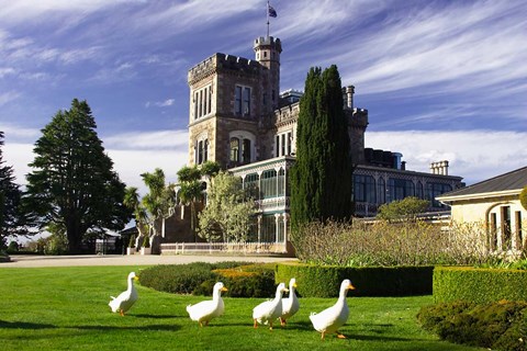 Framed Larnach Castle, Otago Peninsula, Dunedin, South Island, New Zealand Print