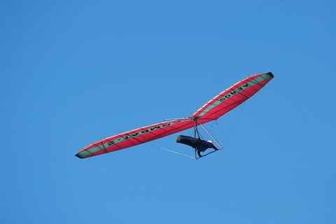 Framed Hang glider, Otago Peninsula, South Island, New Zealand Print