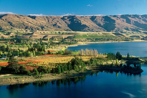 Framed Pisa Range and Lake Dunstan, Central Otago, New Zealand Print