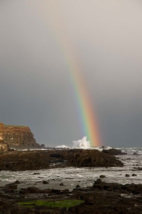 Framed New Zealand, South Island A rainbow arcs over Curio Bay Print